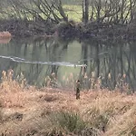 The Pavilion 度假居 *