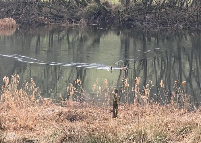 The Pavilion Holiday home *